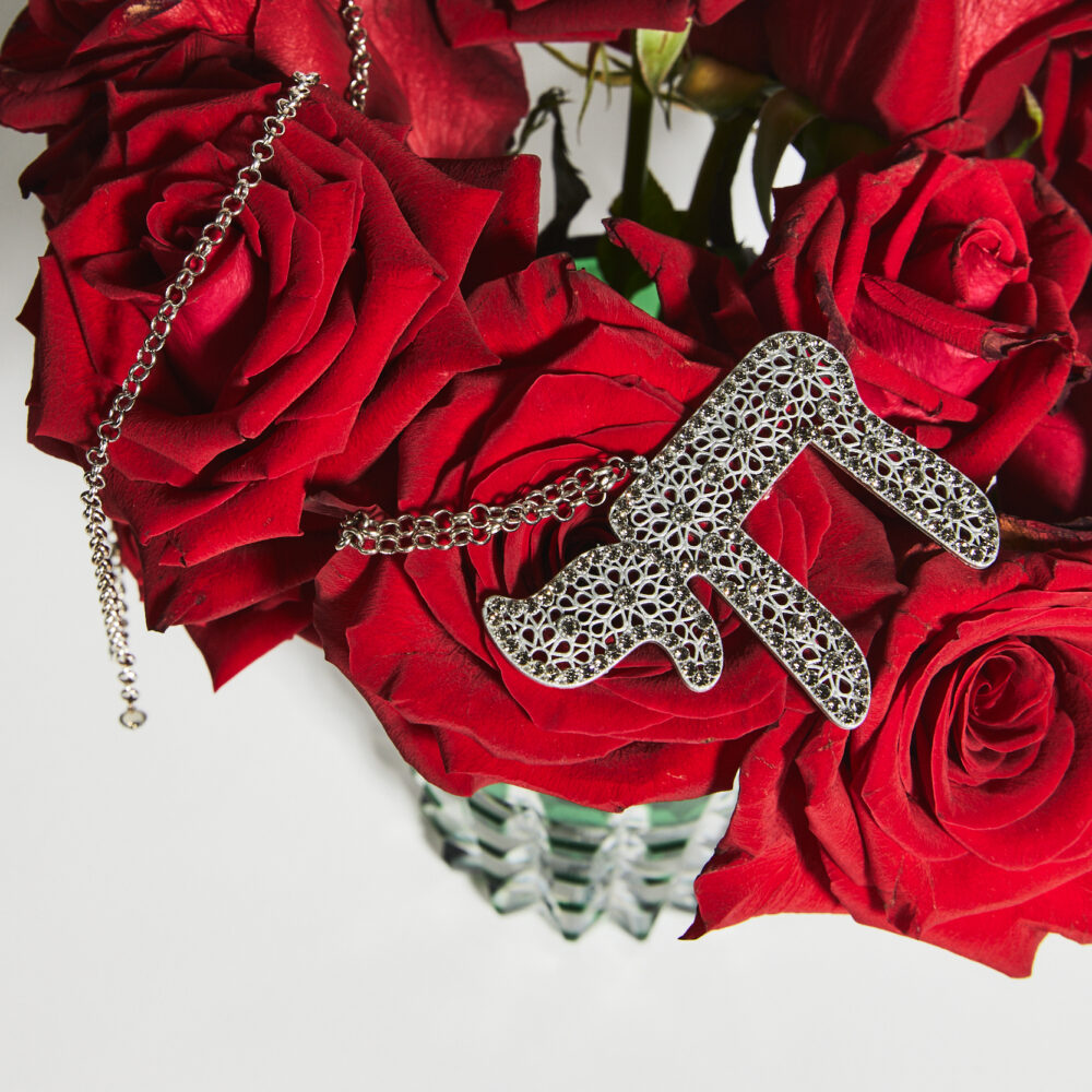 Collar Noa silver